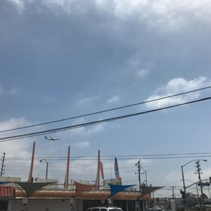 妮可裸乳被爆❌白浆的图片
